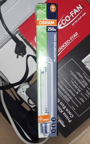 Osram plantastar inter 250w - plantastar,