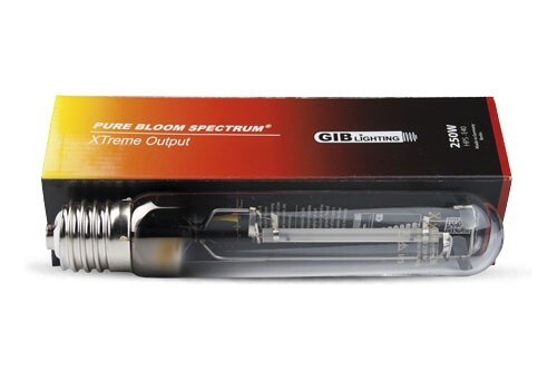 Gib lighting pure - pure, bloom
