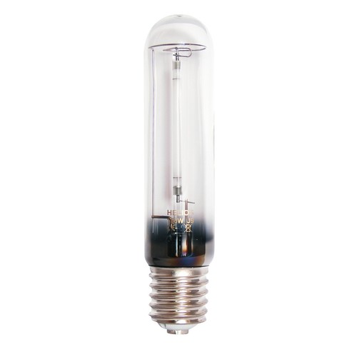 Wls city 250w - city,